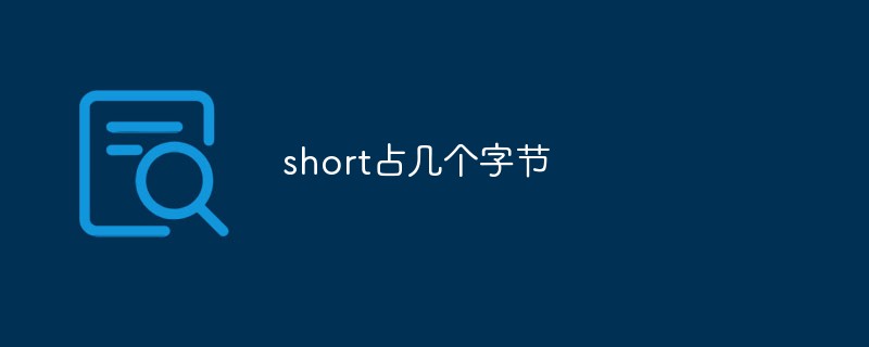 short占几个字节