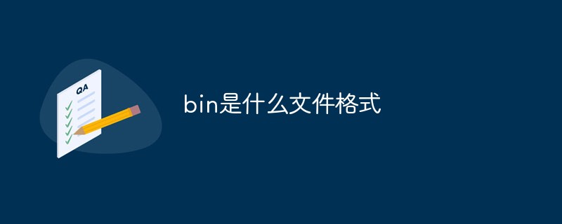 bin是什么文件格式