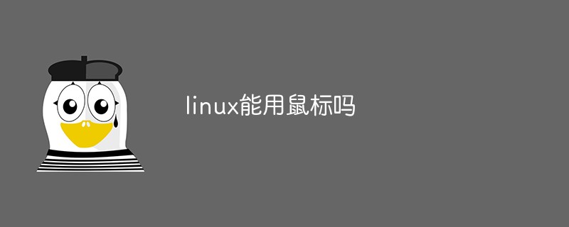 linux能用鼠标吗