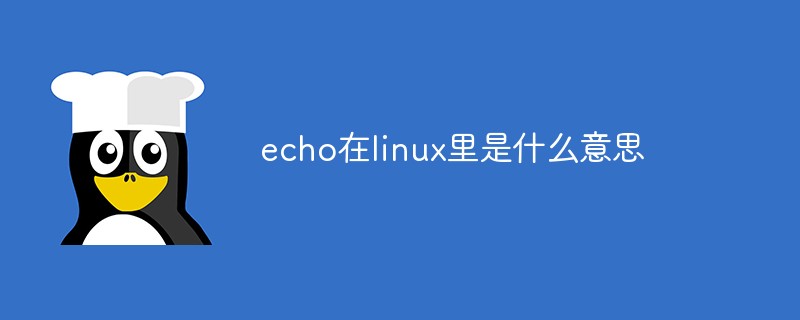 echo在linux里是什么意思