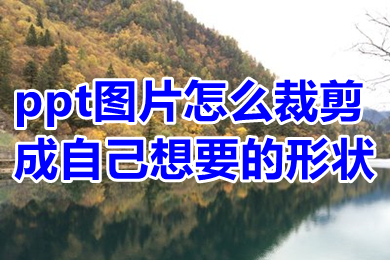 ppt图片怎么裁剪成自己想要的形状 ppt图片怎么裁剪