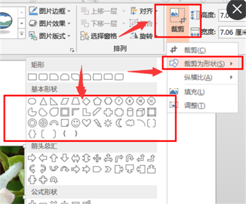 ppt图片怎么裁剪成自己想要的形状 ppt图片怎么裁剪