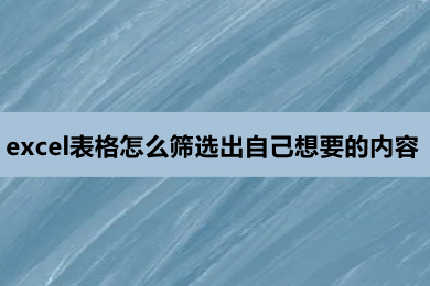 excel表格怎么筛选出自己想要的内容 excel表格怎么筛选出符合条件的数据